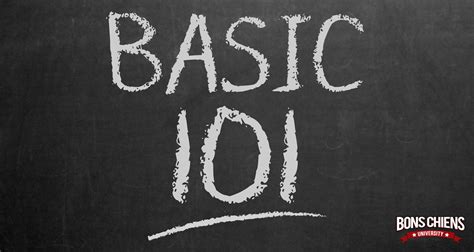 Basics 101 .